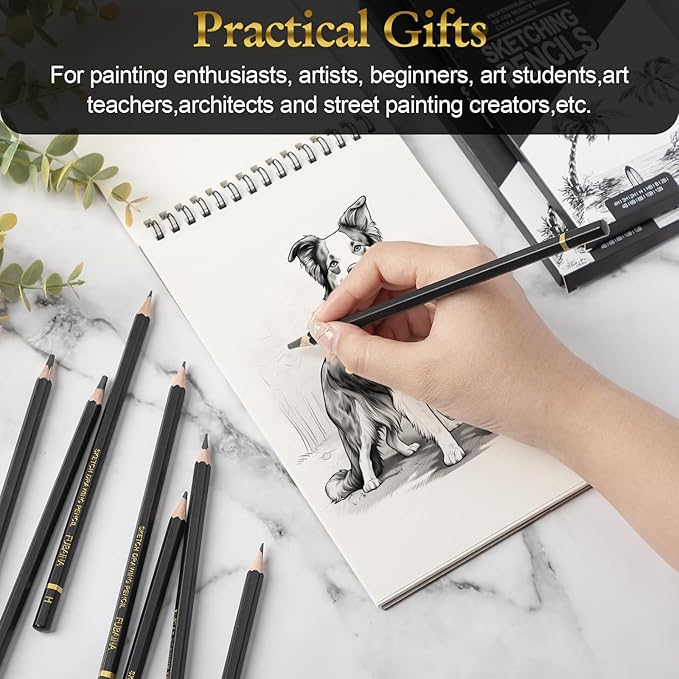 12 Pcs Drawing Sketching Pencil Set Professional (12b - 4h) Graphite Charcoal Gift Bulk for Artists Beginners, Pro Artists, Drawing Art, Sketching-DeskLoop Office