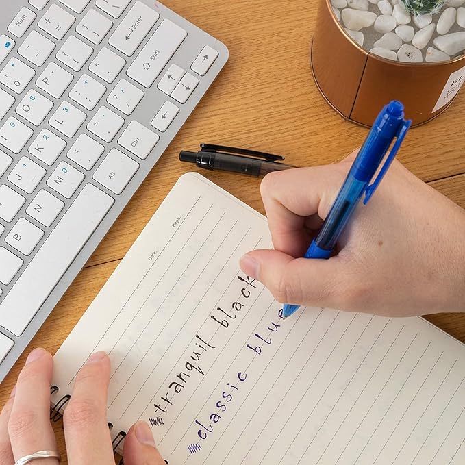 AIHAO Retractable Ballpoint Pens, Blue Ink, 24 Pack – 1.0mm Medium Point, Ultra-Smooth Ink, Comfortable Grip, Ideal for Journaling, Note Taking & Planners-DeskLoop Office