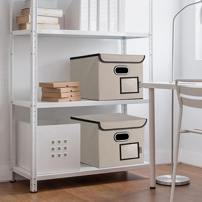 BALEINE File Organizer Box with Lid, Collapsible File Folder Organizer with Plastic Slide, Hanging File Folder Box for Office Document Storage (2 Pack, Beige)-DeskLoop Office