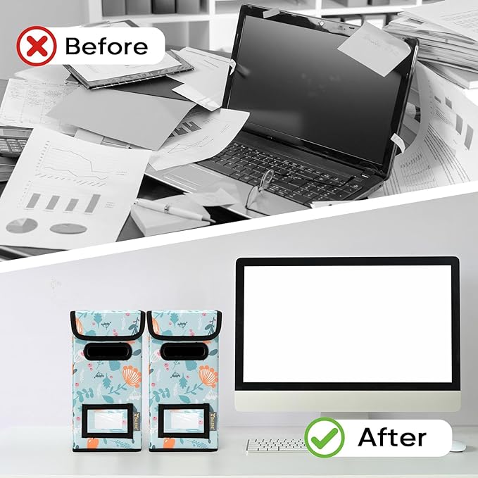 BALEINE File Organizer Box with Lid, Collapsible File Folder Organizer with Plastic Slide, Hanging File Folder Box for Office Document Storage (2 Pack, Spring Stroll, S)-DeskLoop Office