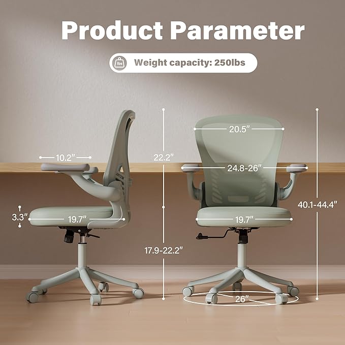 GYI Computer Desk Chair, Ergonomic Office Desk Chairs with Mesh Back, Adjustable Lumbar Support, Height, 3D Flip-up Arms, Wheels, Rocking Function, Grey-DeskLoop Office