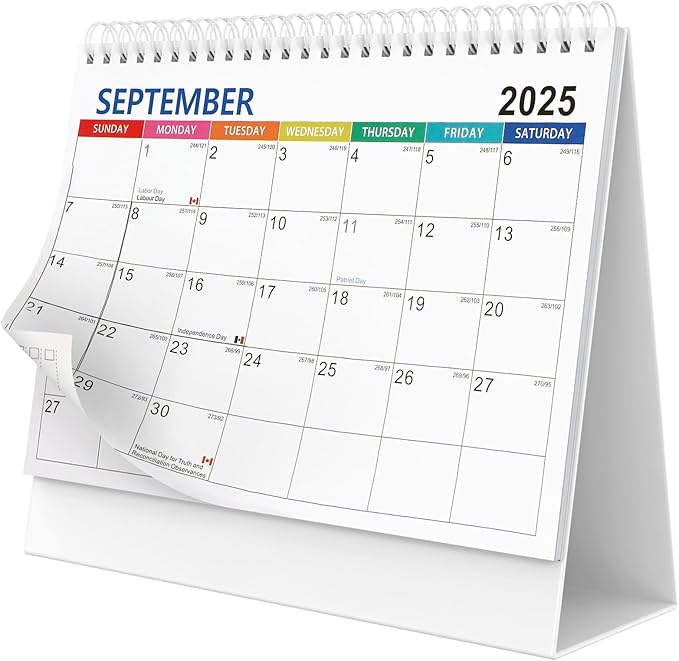 Desk Calendar 2025 planner, Covers Jul 2025-Jun 2026 with Monthly Plan, Notes and Tasks, Easy to Organizing for Family, Students, Home, School and Office-DeskLoop Office