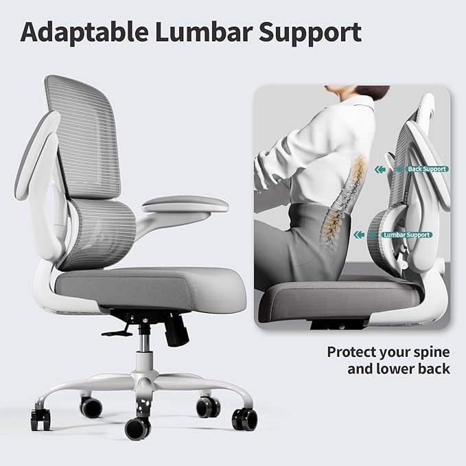 Office Chair - Ergonomic Desk Chair with Adjustable Lumbar Support, Mesh Computer Chair, Executive Chair for Home Office Comfortable Lumbar Support(Grey)-DeskLoop Office