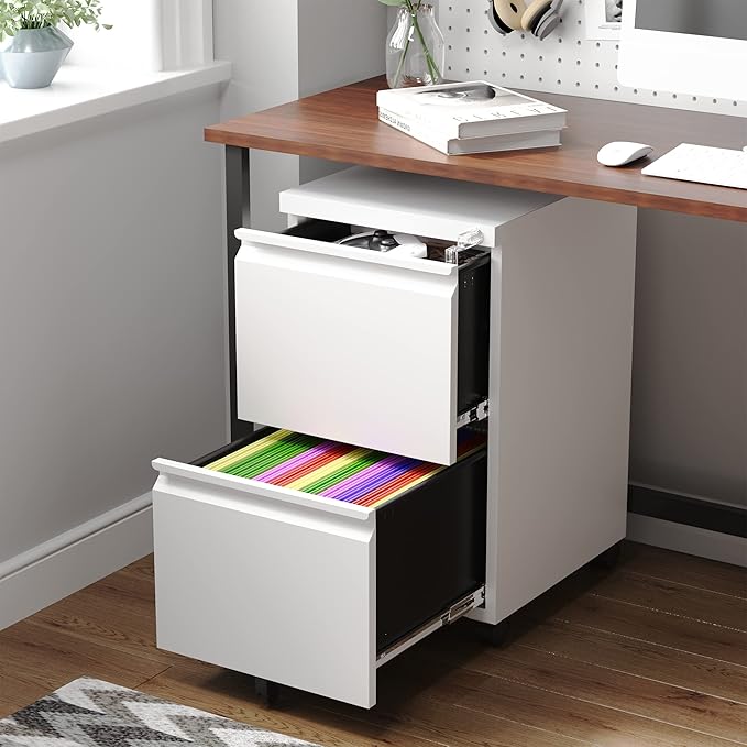 Letaya 2 Drawer Mobile File Cabinet with Lock,Under Desk Metal Filing Cabinets for Home Office Organizer Letters/Legal/A4(Fully Assembled-White)-DeskLoop Office