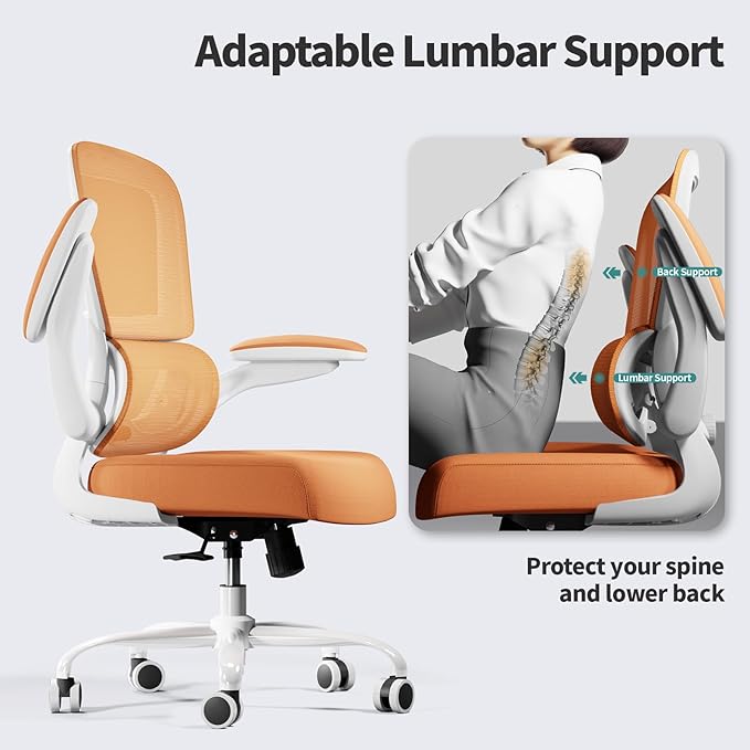 TRALT Office Chair - Ergonomic Desk Chair with Adjustable Lumbar Support, Mesh Computer Chair, Executive Chairs for Home Office Comfortable Lumbar Support (Orange)-DeskLoop Office