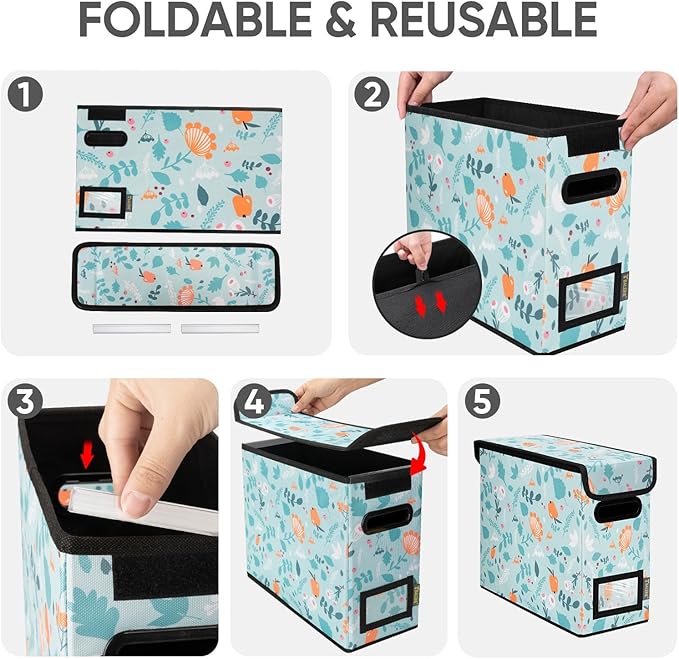 BALEINE File Organizer Box with Lid, Collapsible File Folder Organizer with Plastic Slide, Hanging File Folder Box for Office Document Storage (1 Pack, Spring Stroll, S)-DeskLoop Office