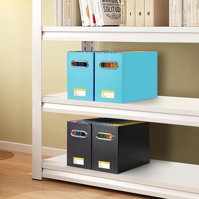 BALEINE File Organizer Box, Cardboard File Folder Organizer with Handle for Letter Size, Portable Collapsible Hanging Filing Box for Home Office Document Storage (2 Pack, Blue)-DeskLoop Office