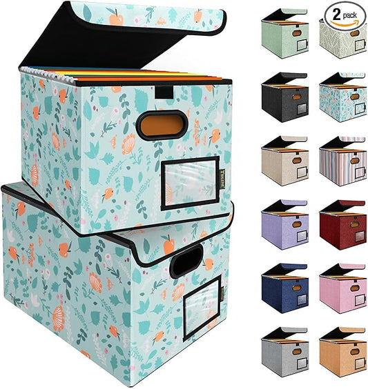BALEINE File Organizer Box with Lid, Collapsible File Folder Organizer with Plastic Slide, Hanging File Folder Box for Office Document Storage (2 Pack, Spring Stroll)-DeskLoop Office