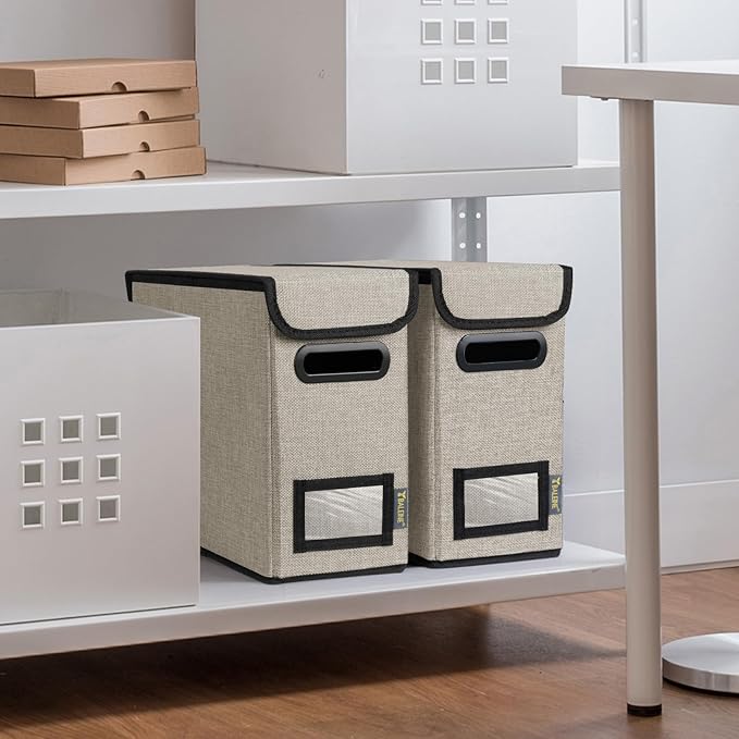 BALEINE File Organizer Box with Lid, Collapsible File Folder Organizer with Plastic Slide, Hanging File Folder Box for Office Document Storage (2 Pack, Beige, S)-DeskLoop Office