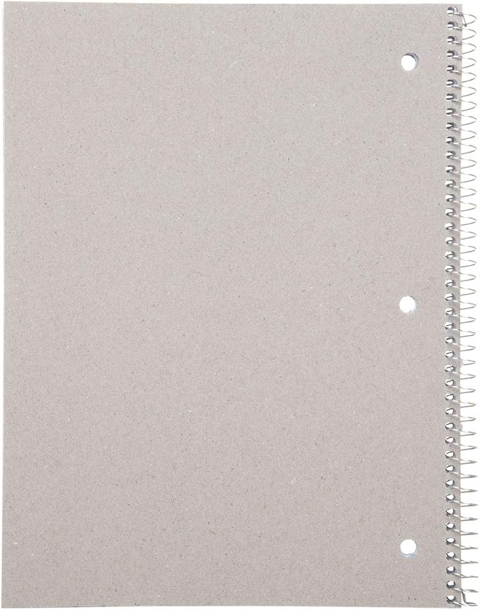 Mintra Office Spiral Notebooks - Wirebound for Student, Home, Office, Business (4x4 Graph, 4pk)-DeskLoop Office
