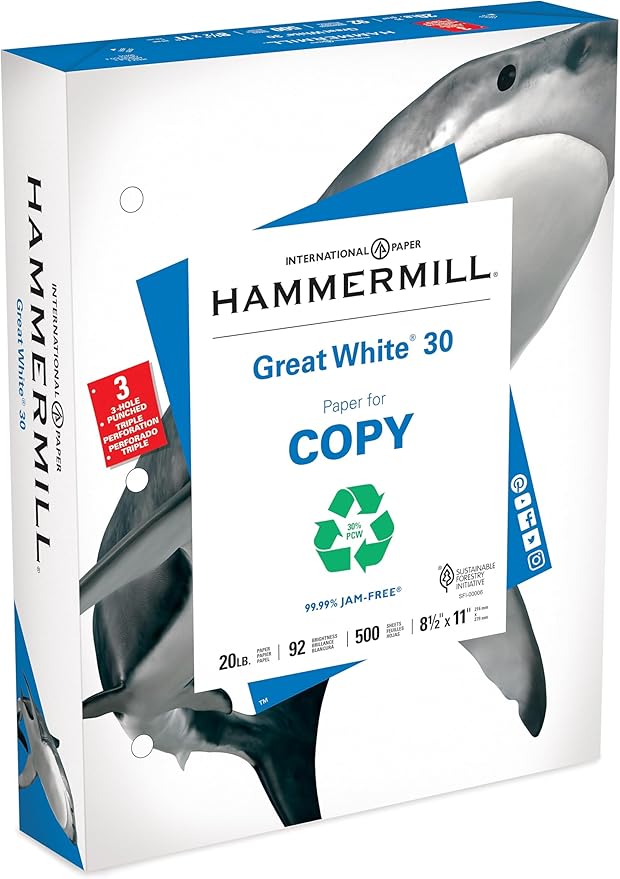 Hammermill Printer Paper, Great White 30% Recycled Paper, 3 Hole - 1 Ream (500 Sheets) - 92 Bright, Made in the USA, 086702-DeskLoop Office