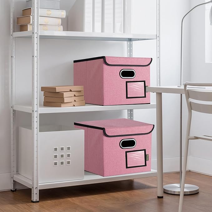 BALEINE File Organizer Box with Lid, Collapsible File Folder Organizer with Plastic Slide, Hanging File Folder Box for Office Document Storage (2 Pack, Pink)-DeskLoop Office