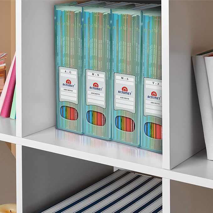 Acrimet Magazine File Holder, Durable Rack, Space-Saving Organizer (Plastic) (Clear Green Color) (2 pack)-DeskLoop Office