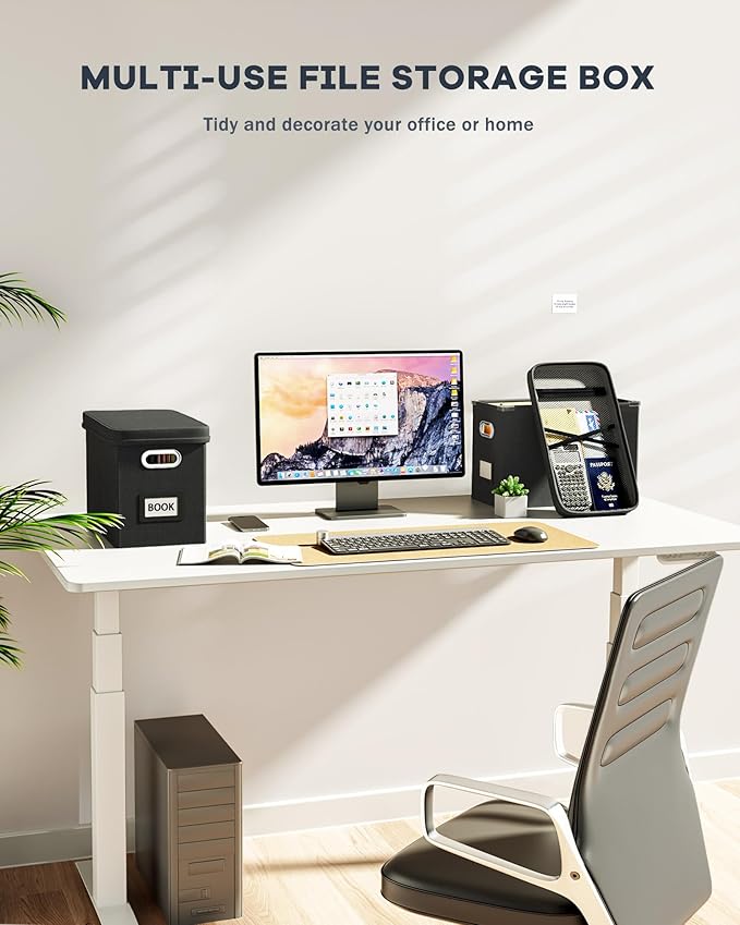 Oterri File Organizer Box with Lid, Hanging Filing File Box with Mesh Pocket, Document Organizer Box for Letter Files, Portable Storage Box with Smooth Sliding Rail for Office&Home (1 PCS, Black)-DeskLoop Office