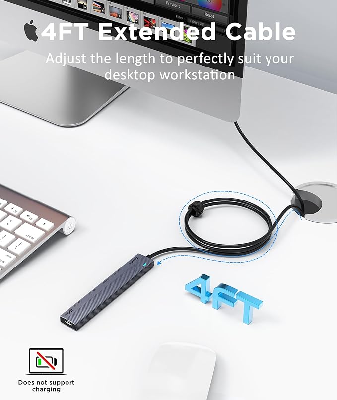 Aceele USB 3.2 Gen 2 Hub with 2 USB-A & 2 USB-C Ports, 10Gbps USB Splitter with 4ft Long Cable, USB Data Extented with 5V3A Type-C Power Port, Compatible for Laptop, iMac Laptop and More-DeskLoop Office