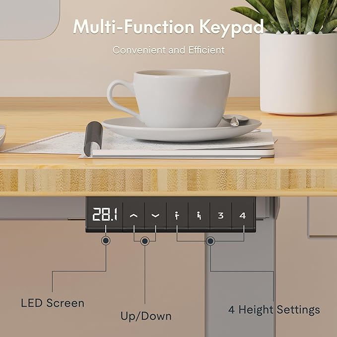 FLEXISPOT EN2 Whole-Piece Bamboo Standing Desk with Clamp Power Strip, 48 x 24 Electric Stand Up Height Adjustable Desk with Cable Management (Grey Frame + 48" Bamboo Top, 2 Packages)-DeskLoop Office