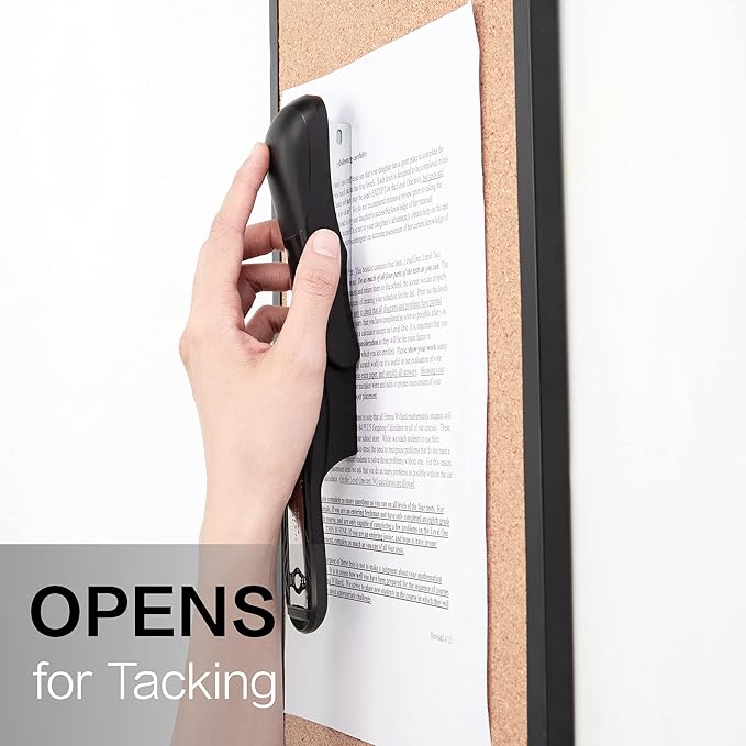 Deli Stapler Value Pack, Desktop Standard Staplers, 20 Sheet Capacity, Includes Staples & Staple Remover, Black-DeskLoop Office