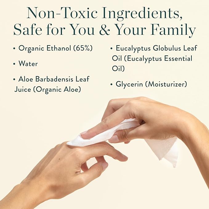 Biom Mini Dispenser + Hand Sanitizing Wipes Starter Kit - Eucalyptus Scented, Biodegradable, Kid-Safe | Fits in Cup Holder | All Natural, Plant-Based Non-Toxic Wipes with Aloe for Soft Skin (Midnight)-DeskLoop Office