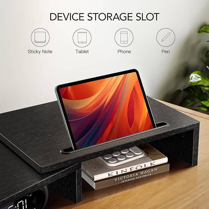 AMERIERGO Dual Monitor Stand Riser for 2 Monitors, Monitor Stand for Desk, Adjustable Computer Monitor Stand with 2 Slot, Multifunctional Desktop Organizer Stand for Laptop, PC, Computer, Printer-DeskLoop Office