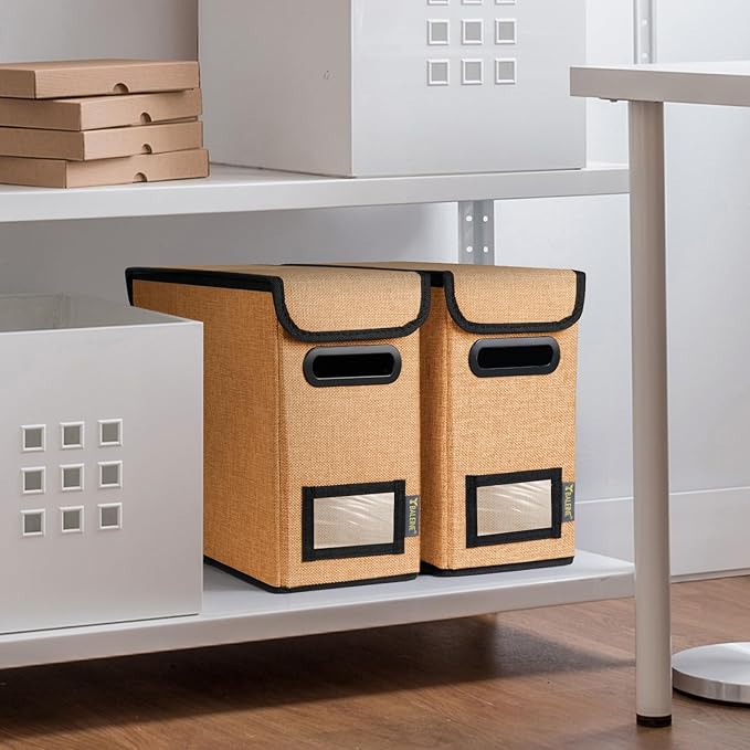 BALEINE File Organizer Box with Lid, Collapsible File Folder Organizer with Plastic Slide, Hanging File Folder Box for Office Document Storage (2 Pack, Orange, S)-DeskLoop Office