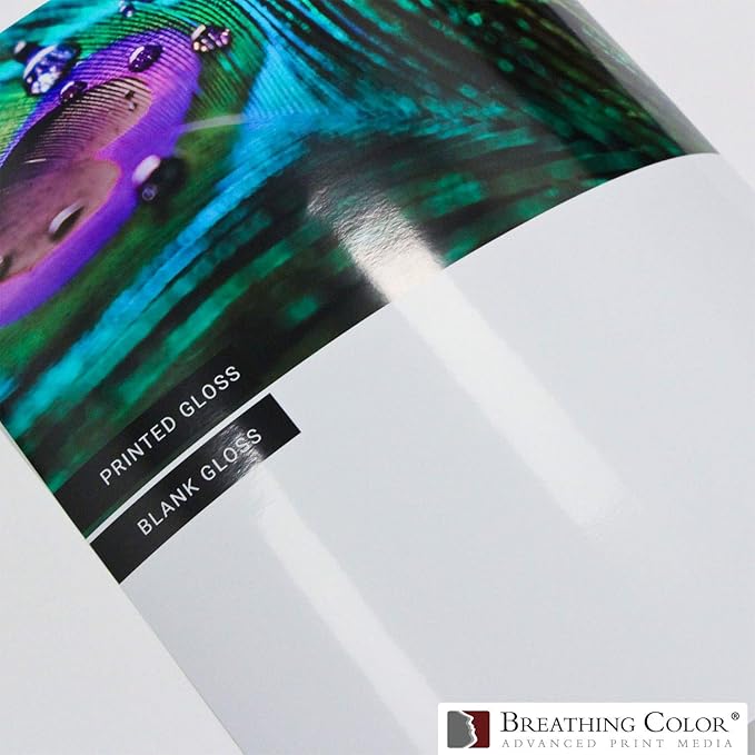 Vibrance Gloss Photo Printer Paper 10 mil 255 gsm Glossy Finish Premium Photo Paper Roll on 3in Core 17 inches x 10 feet Works with Most Inkjet Printers Including Professional Makes and Models-DeskLoop Office