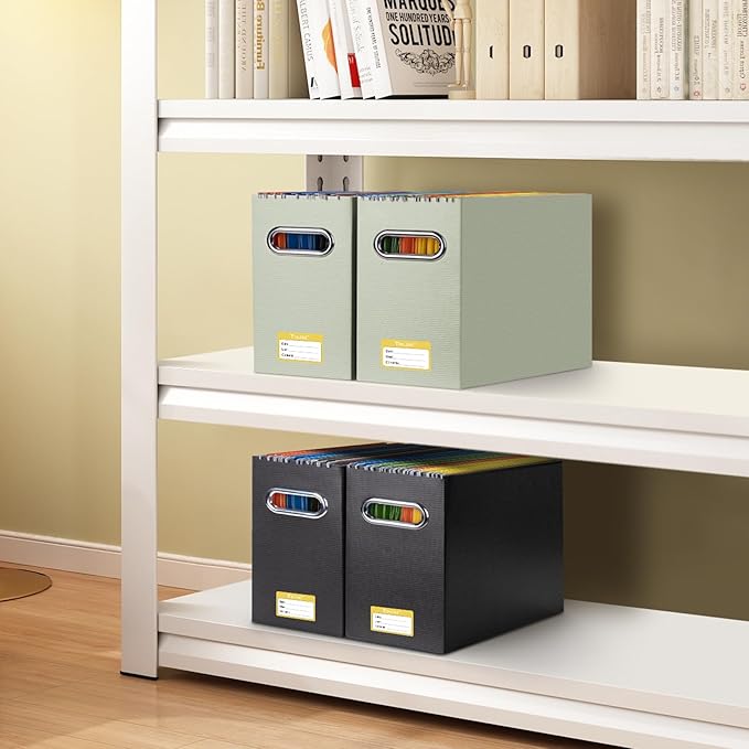 BALEINE File Organizer Box, Cardboard File Folder Organizer with Handle for Letter Size, Portable Collapsible Hanging Filing Box for Home Office Document Storage (2 Pack, Beige)-DeskLoop Office