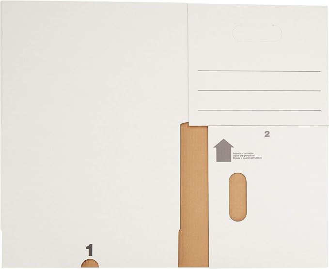 Amazon Basics Storage/Filing Boxes with Lift-Off Lid - Letter/Legal Size, Sturdy, Easy Assembly, White, 16.2" L x 12.5" W x 10.5" H, Pack of 20-DeskLoop Office