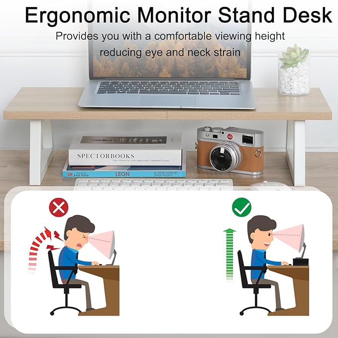 TEAMIX 24 inch Monitor Stand Riser, Wood & Steel Computer Monitor Stand with Storage, Laptop, PC, Printer Stand Riser for Desktop Office Desk Organizers-DeskLoop Office