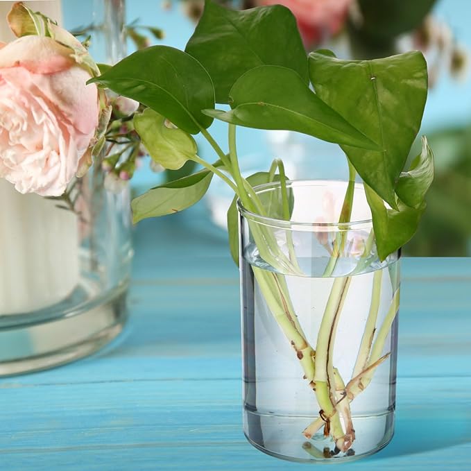 Crtiin 20 Pack Clear Acrylic Pen Holder Makeup Brush Round Pencil Holder for Desk Pen Cups Desk Organizers and Storage Desktop Stationery Organizer for Office School Home Supplies-DeskLoop Office