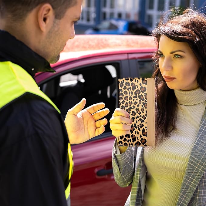 Car Registration and Insurance Holder - Image 9