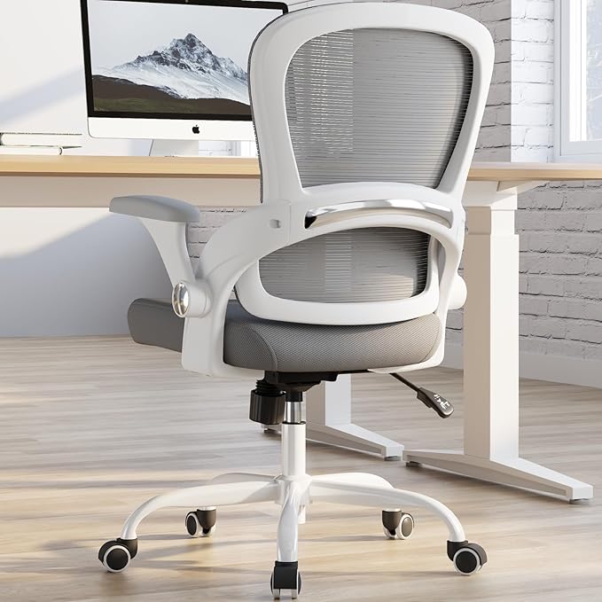 TRALT Ergonomic Office Chair - Comfy Desk Chair with Back Support, Home Office Desk Chairs, Computer Chair, 330lbs Wide Seat Big and Tall Office Chair for Executives (Grey)-DeskLoop Office