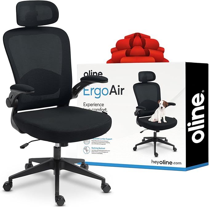 Oline ErgoAir Ergonomic Office Chair – Adjustable Lumbar Support, Flip-Up Armrests, Mesh Computer Desk Chair, Swivel Rolling Executive Gaming Chair for Home & Office (Black)-DeskLoop Office