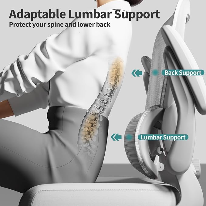 Office Chair - Ergonomic Desk Chair with Adjustable Lumbar Support, Mesh Computer Chair, Executive Chair for Home Office Comfortable Lumbar Support (White White)-DeskLoop Office