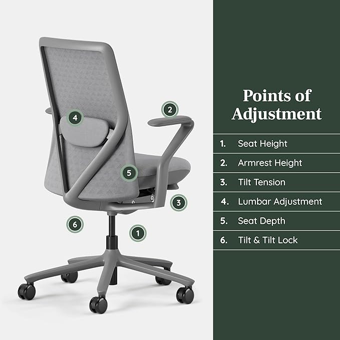 Branch Verve Chair - High Performance Executive Office Chair with Contoured Seat Back and Adjustable Lumbar Rest - High Density Foam Cushion with Aluminum Base - Up to 275 lbs - Lunar-DeskLoop Office