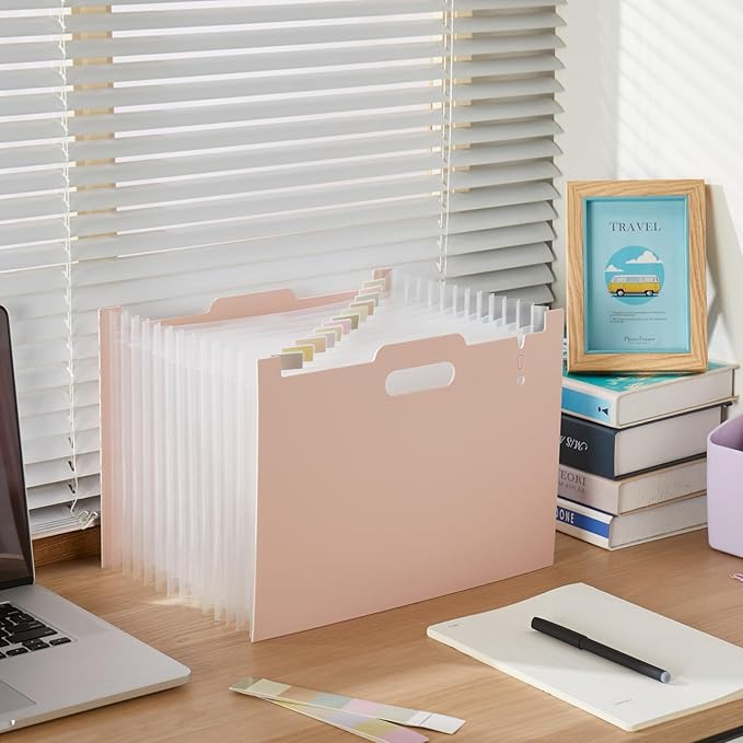 2-Piece Accordion Folder Manager, 12 Grid Expansion Pages, Portable Monthly Bill and Receipt Manager That Opens Upright, Colored Labels, School, Home, and Office letterhead/A4 Size, Pink-DeskLoop Office