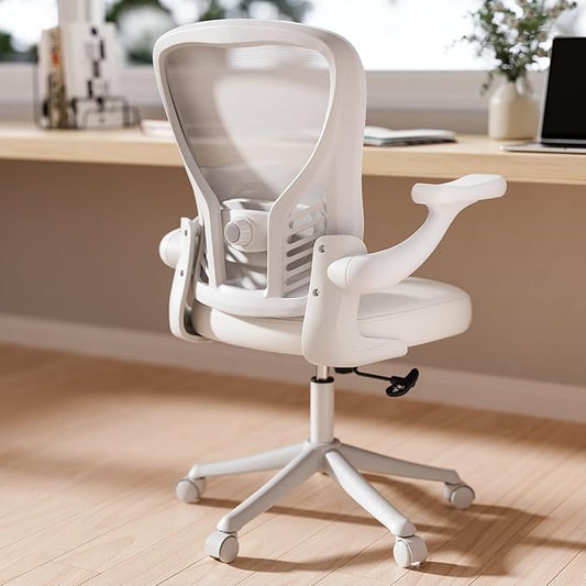 GYI Computer Desk Chair, Ergonomic Office Desk Chairs with Mesh Back, Adjustable Lumbar Support, Height, 3D Flip-up Arms, Wheels, Rocking Function (All White)-DeskLoop Office