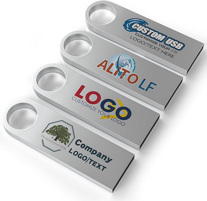 ABLAZE Custom Flash Drive 1GB 10 Pack, Personalized USB with Your Logo Metal Thumb Drives USB 2.0 Memory Stick Pendrive (Sliver)