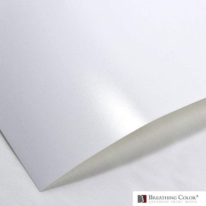 Vibrance Luster Photo Printer Paper 10 mil 255 gsm Luster Finish Premium Photo Paper Sheets 17 inches x 22 inches 50 sheets Works with All Inkjet Printers Including Professional Makes and Models-DeskLoop Office