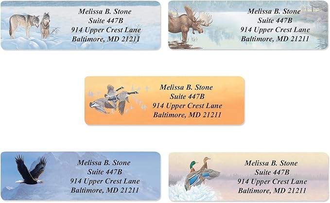 in The Wild Assorted Designer Name & Address Labels with Elegant Plastic Dispenser-DeskLoop Office