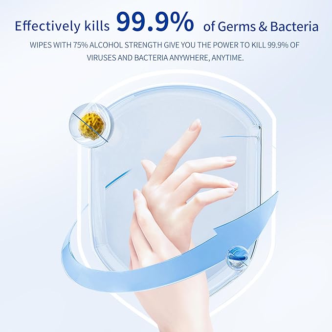 75% Alcohol Hand Sanitizer with Aloe Moisturizer & Vitamin E for On-the-Go Use, All-Purpose Travel Wipes Count, Restaurant, Home Office-DeskLoop Office
