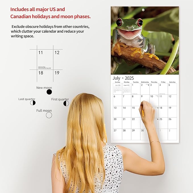2025 Wall Calendar,Calendar 2025, January 2025 - December 2025, Wall Calendar Frog, 12" x 24" Opened,Full Page Months Thick & Sturdy Paper for Calendar Organizing & Planning