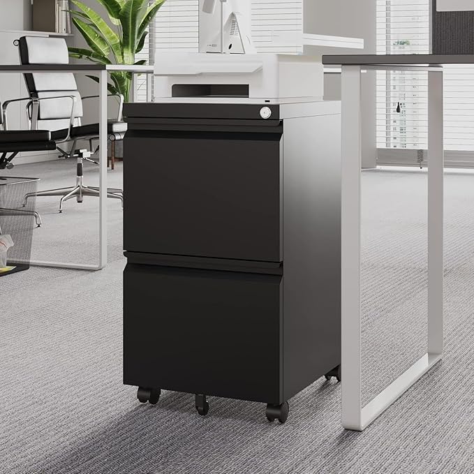 Letaya 2 Drawer Mobile File Cabinet with Lock, Under Desk Metal Rolling Filing Cabinets for Home Office Organizer Letters/Legal/A4 (Black- Requires Installation)-DeskLoop Office