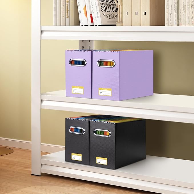 BALEINE File Organizer Box, Cardboard File Folder Organizer with Handle for Letter Size, Portable Collapsible Hanging Filing Box for Home Office Document Storage (4 Pack, Lavender)-DeskLoop Office