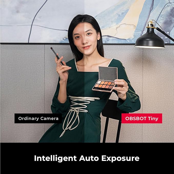 OBSBOT Tiny 1080P PTZ Webcam with AI Tracking, Auto Framing, Noise Reduction, and Gesture Control-DeskLoop Office