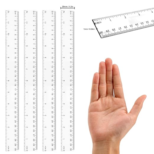 200 Pack 12 Inch Plastic Rulers Bulk, Clear Plastic Ruler, Transparent Ruler with Dual-Scale Measurement, Easy to Store, for Home, Office, Practical Use by KUKLIPJIM-DeskLoop Office