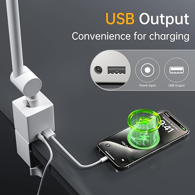 deeloop 2-Arms Swing Long LED Desk Lamp with Clamp, CRI 95+ Eye-Caring Light, USB Charging Output, 2-Hour Timer, Dimmable Desk Light with Memory, Architect Desk Lamps for Home Office Reading &Monitor-DeskLoop Office