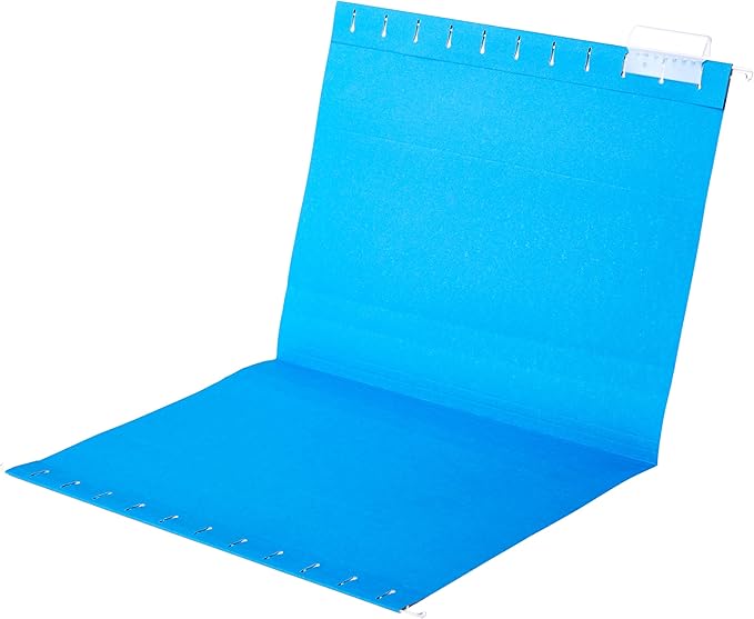 Amazon Basics Hanging Organizer File Folders for Efficient Filing, Assorted Colors, Letter Size (Pack of 25)-DeskLoop Office