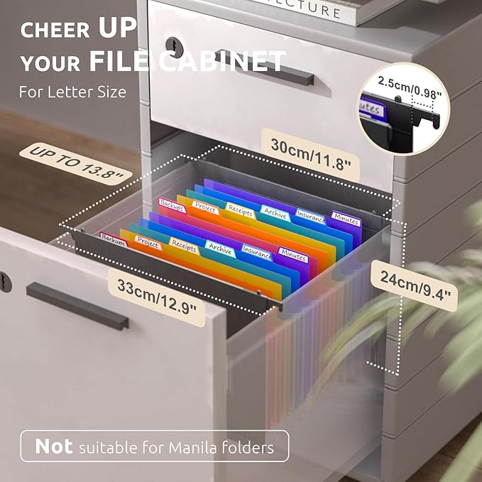 ThinkTex Plastic Expanding Hanging File Folders,12 Accordion Pockets,Large Capacity for Letter Size, Organizer for Filing Cabinet,Ideal for Tax,Contracts,Invoices,for Office,School & Home,Black-DeskLoop Office