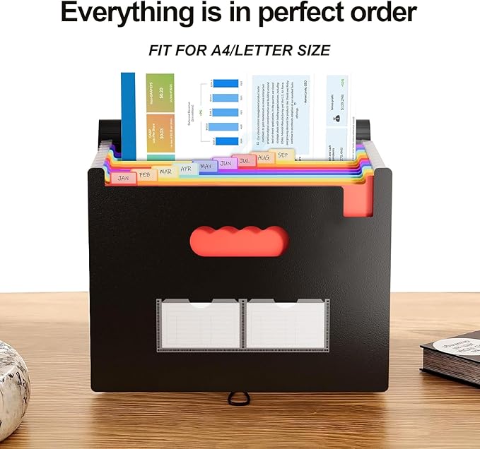 Accordion File Organizer,13 Pockets Expanding File Folder with Blank Labels,Portable Monthly Paper Bill Tax Receipt Organizer,Desktop Folders A4 Letter Paper Document Storage Organize,Black-DeskLoop Office