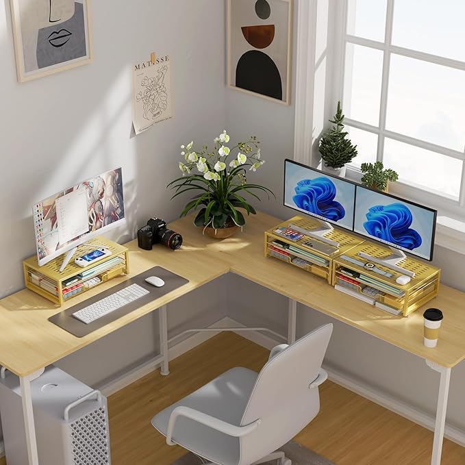 gianotter Computer Monitor Stand Riser, office organizer with Drawer, Office Organizers Storage for Classroom Office Supplies (Gold)-DeskLoop Office